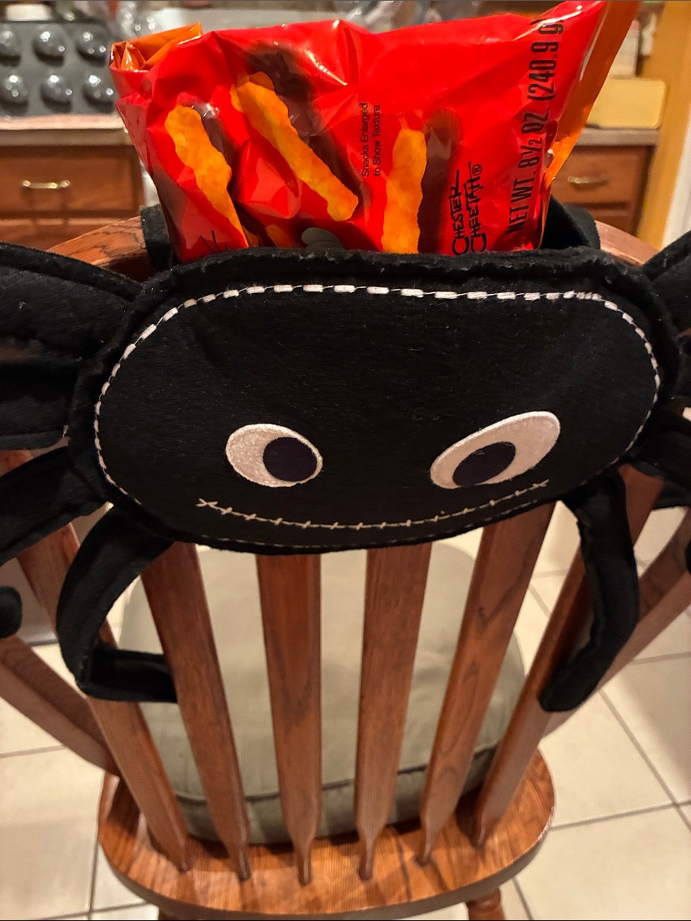 Pottery Barn Kids - FELT SPIDER DECOR or TREAT BAG - Picture 6 of 13